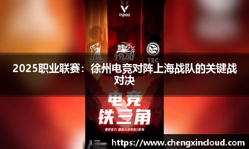 2025职业联赛:徐州电竞对阵上海战队的关键战对决