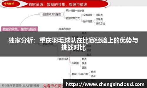 独家分析:重庆羽毛球队在比赛经验上的优势与挑战对比